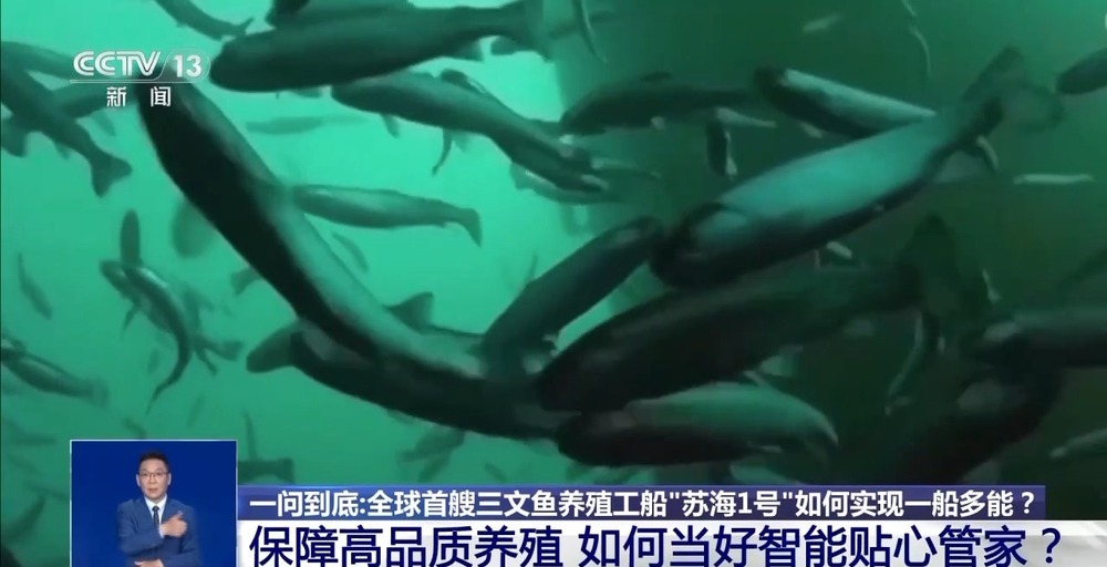 苏海1号养殖系统