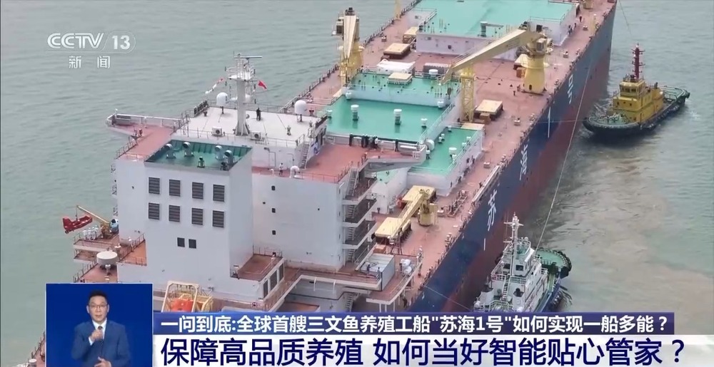 陈伟访谈