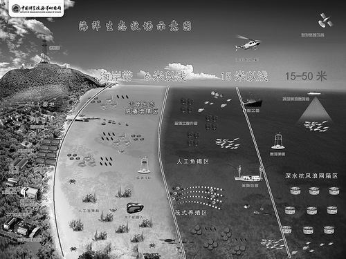 海洋生态牧场示意图