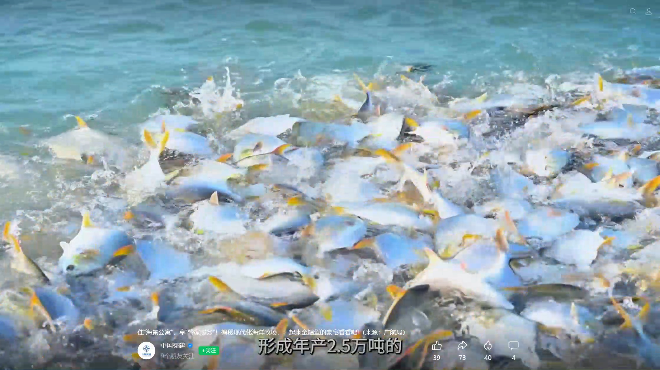 年产2点5万吨产量