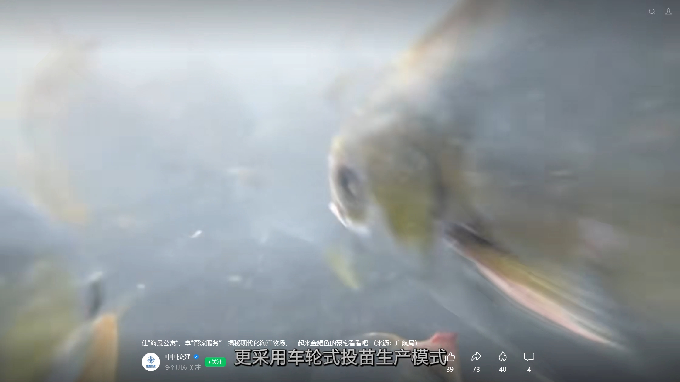 车轮式投苗生产模式