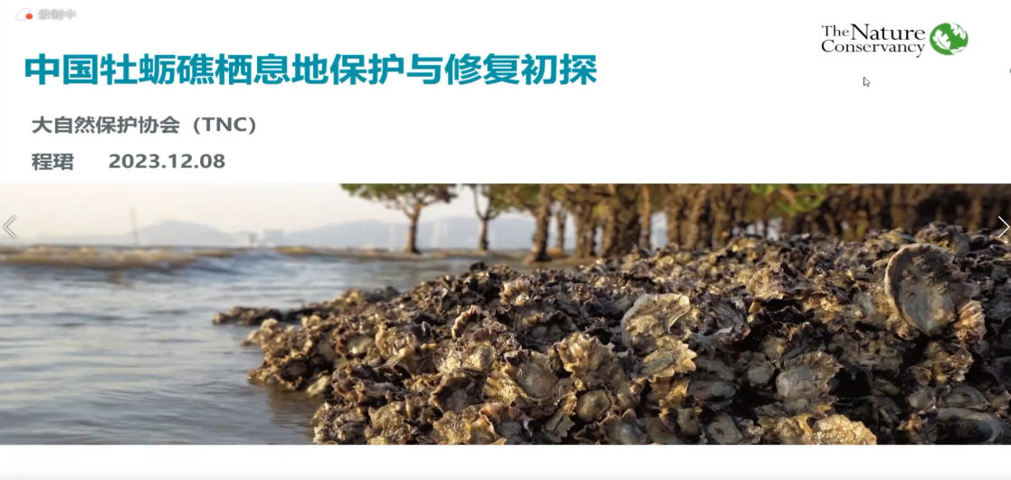 8-中国牡蛎礁栖息地保护和修复初探-程珺.mp4
