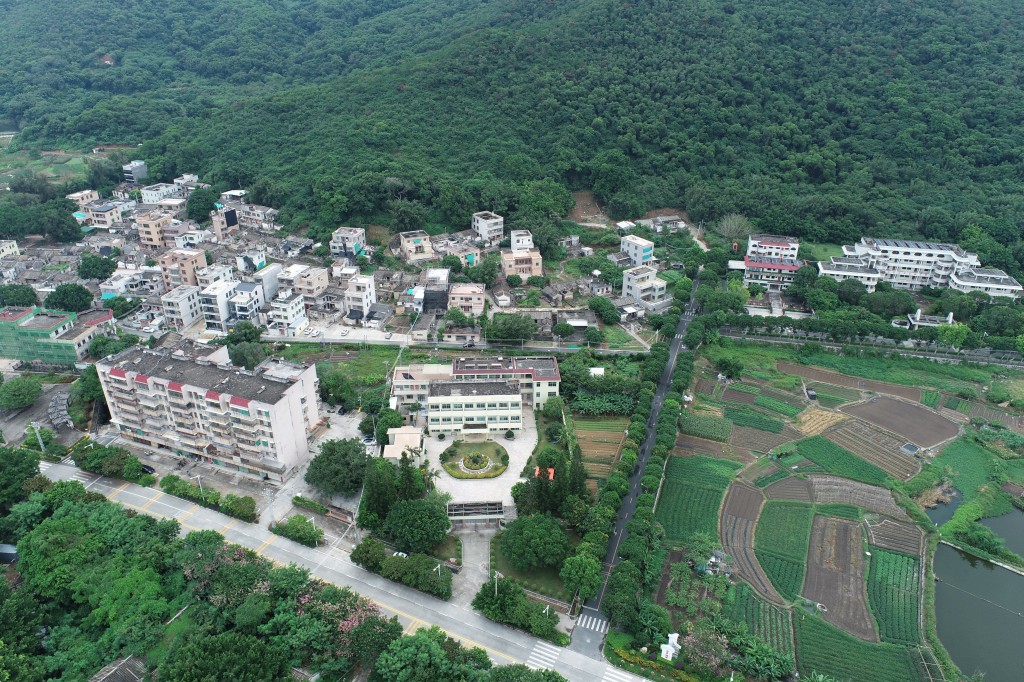无人机航拍图